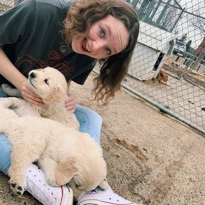 Meet your Posher, Madison